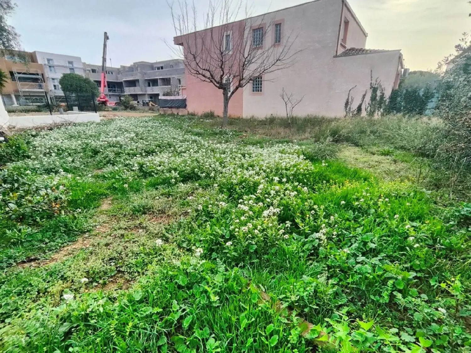  à vendre terrain Frontignan Hérault 2