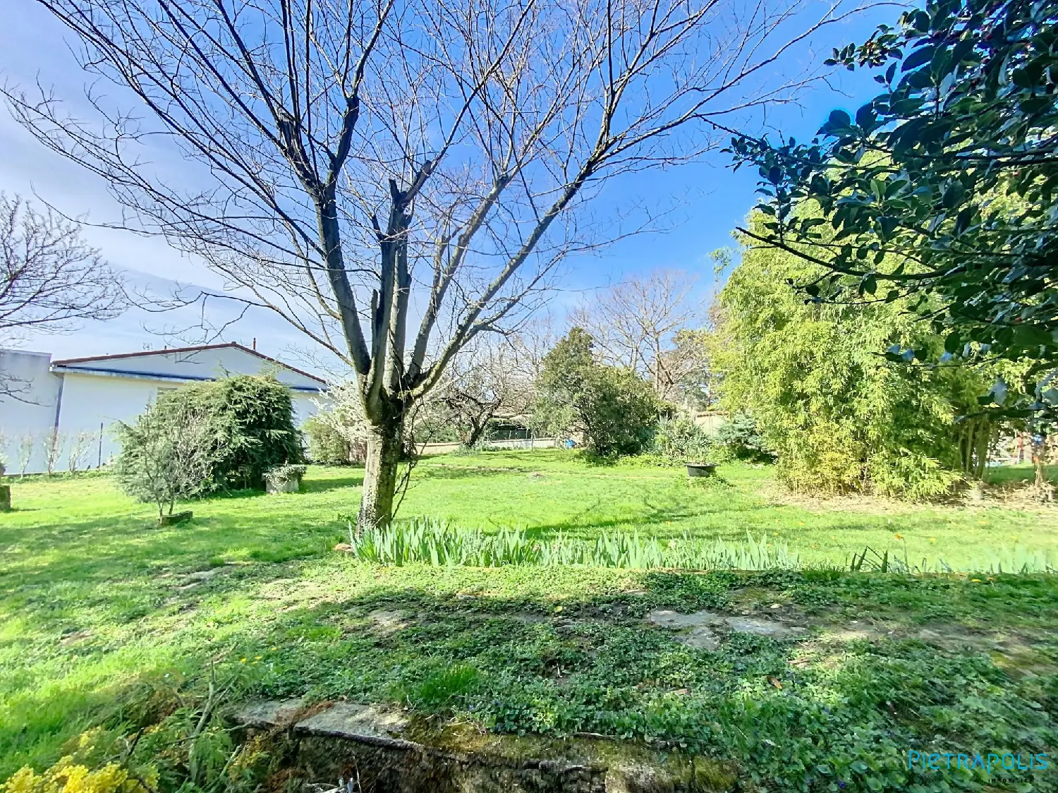  for sale terrain Genay Rhône 3