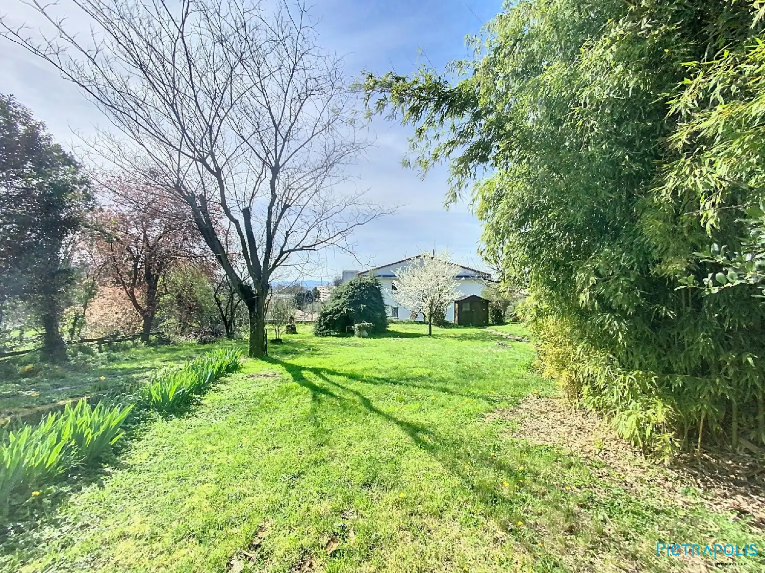  for sale terrain Genay Rhône 4