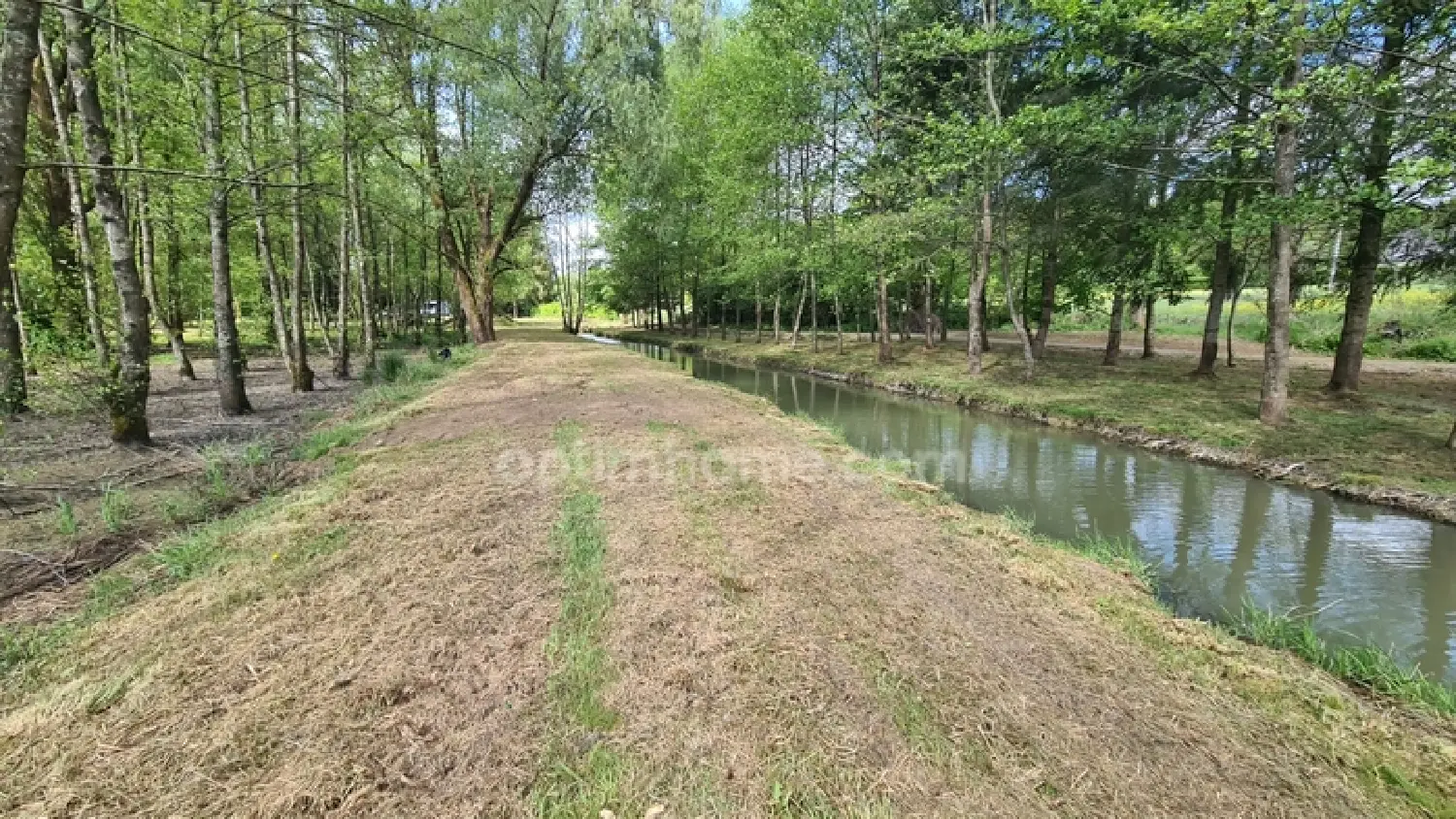  te koop terrein Glageon Nord 5