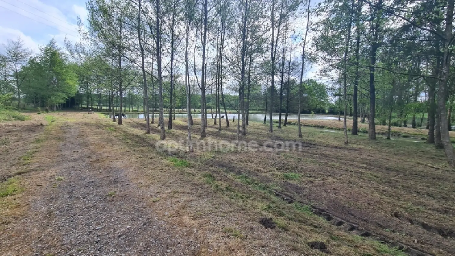  te koop terrein Glageon Nord 6