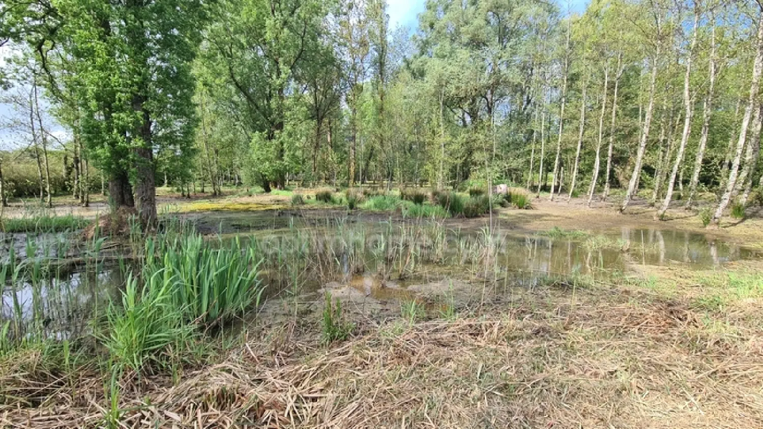  te koop terrein Glageon Nord 7