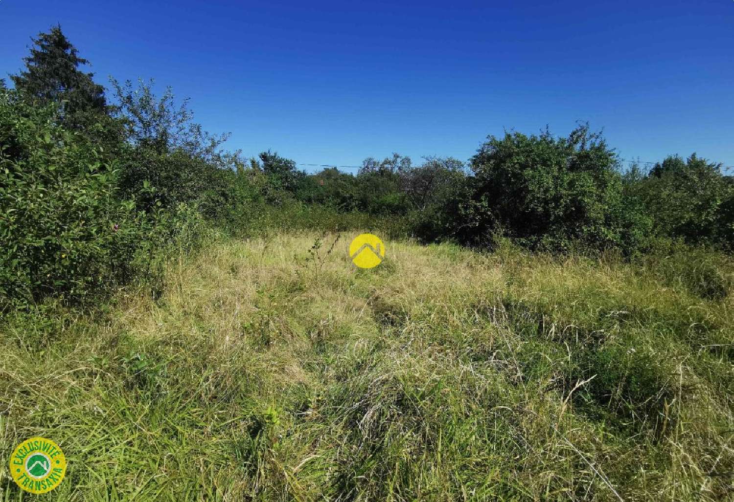  en venta terreno Grossouvre Cher 2