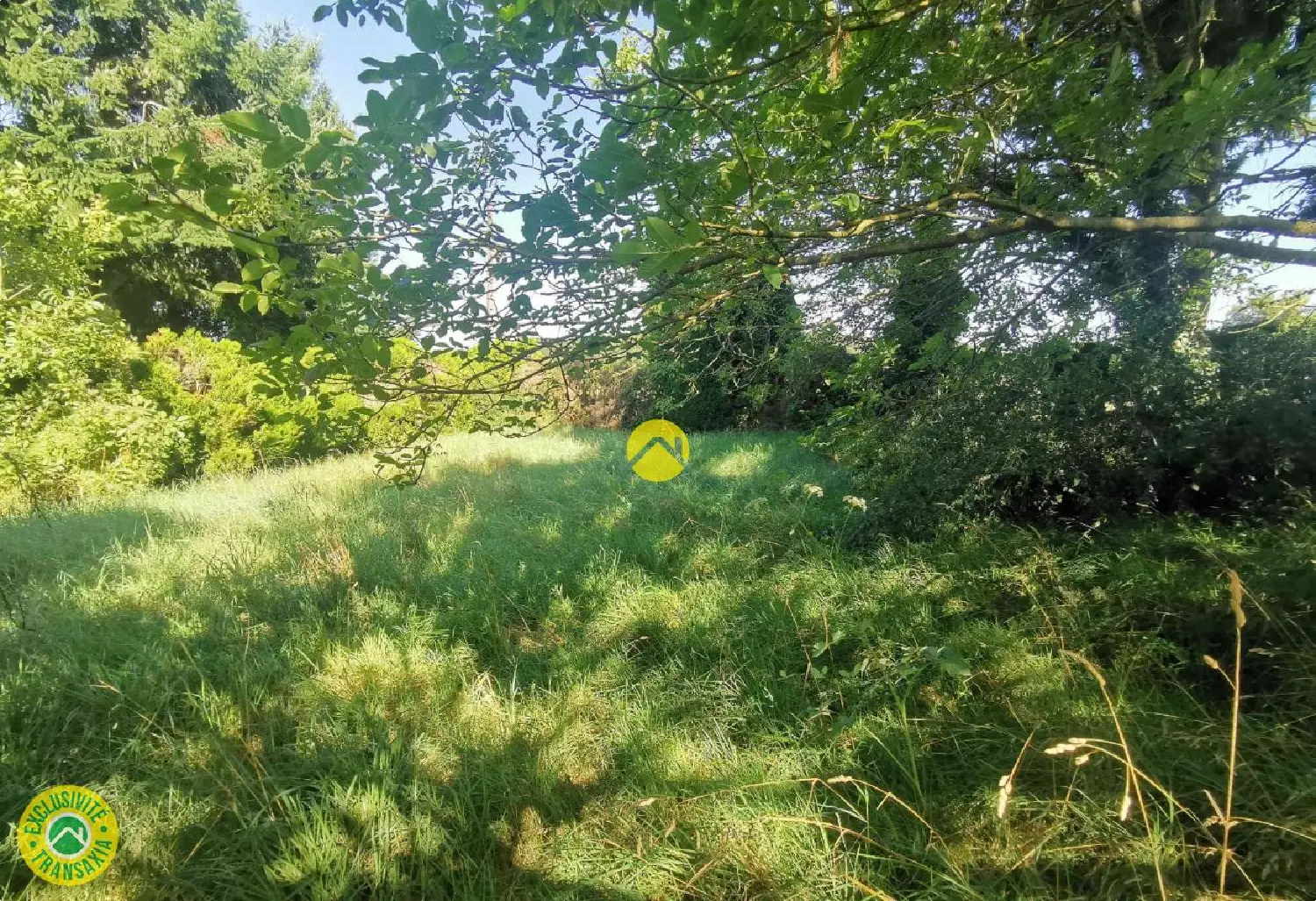  à vendre terrain Grossouvre Cher 1