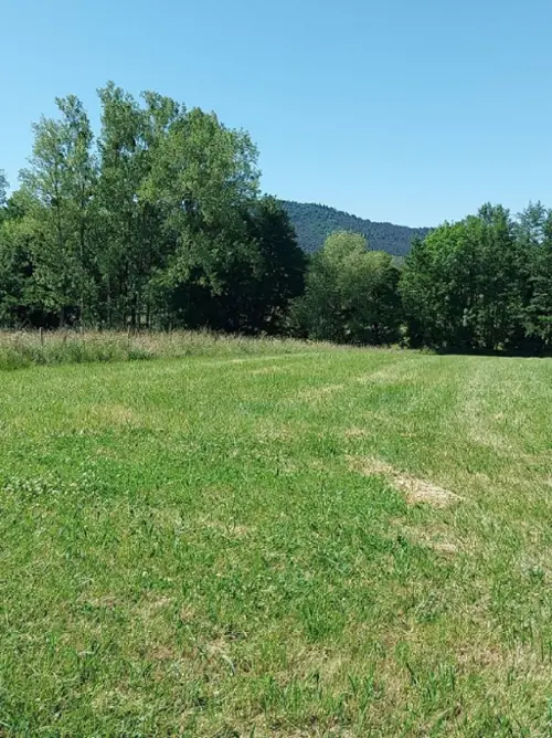 Hengwiller Bas-Rhin terreno foto 7087343