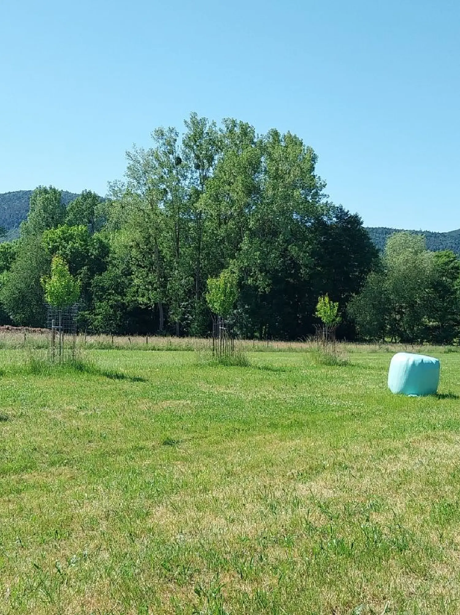  en venta terreno Hengwiller Bas-Rhin 2