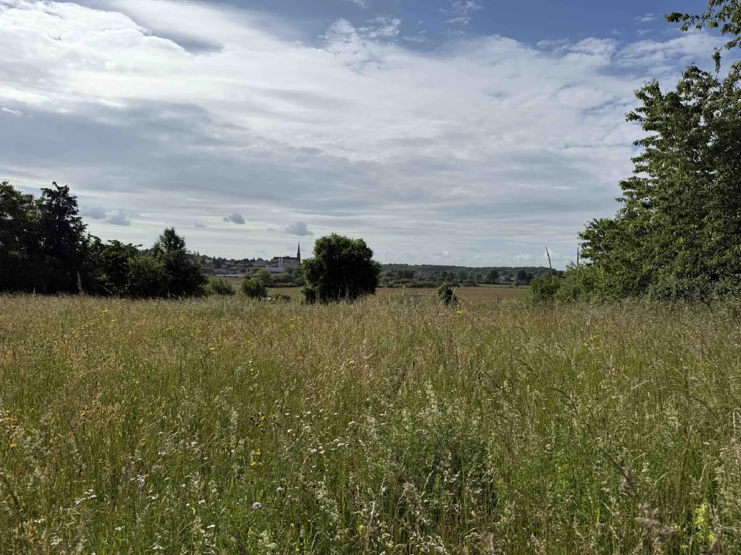  kaufen Grundstück Holving Moselle 2