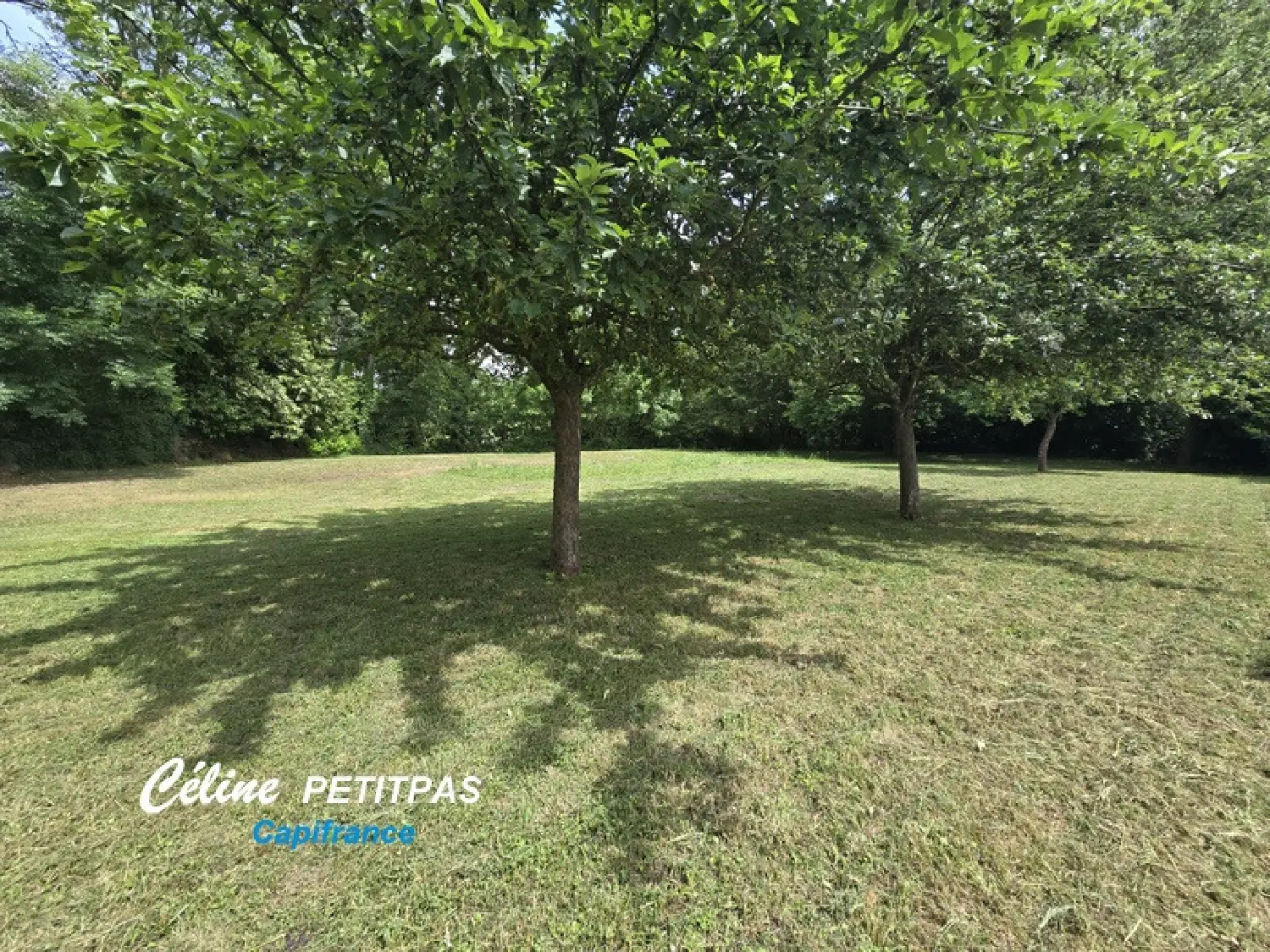  à vendre terrain Iffendic Ille-et-Vilaine 3