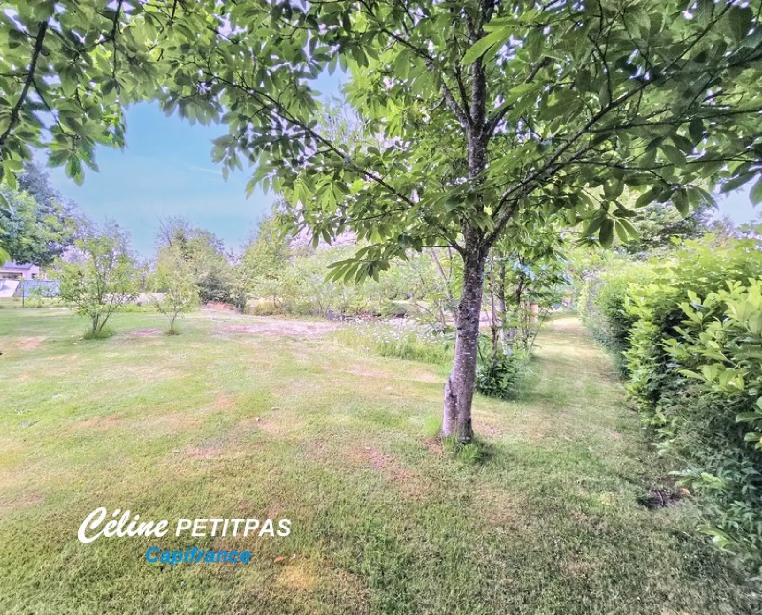  for sale terrain Iffendic Ille-et-Vilaine 7