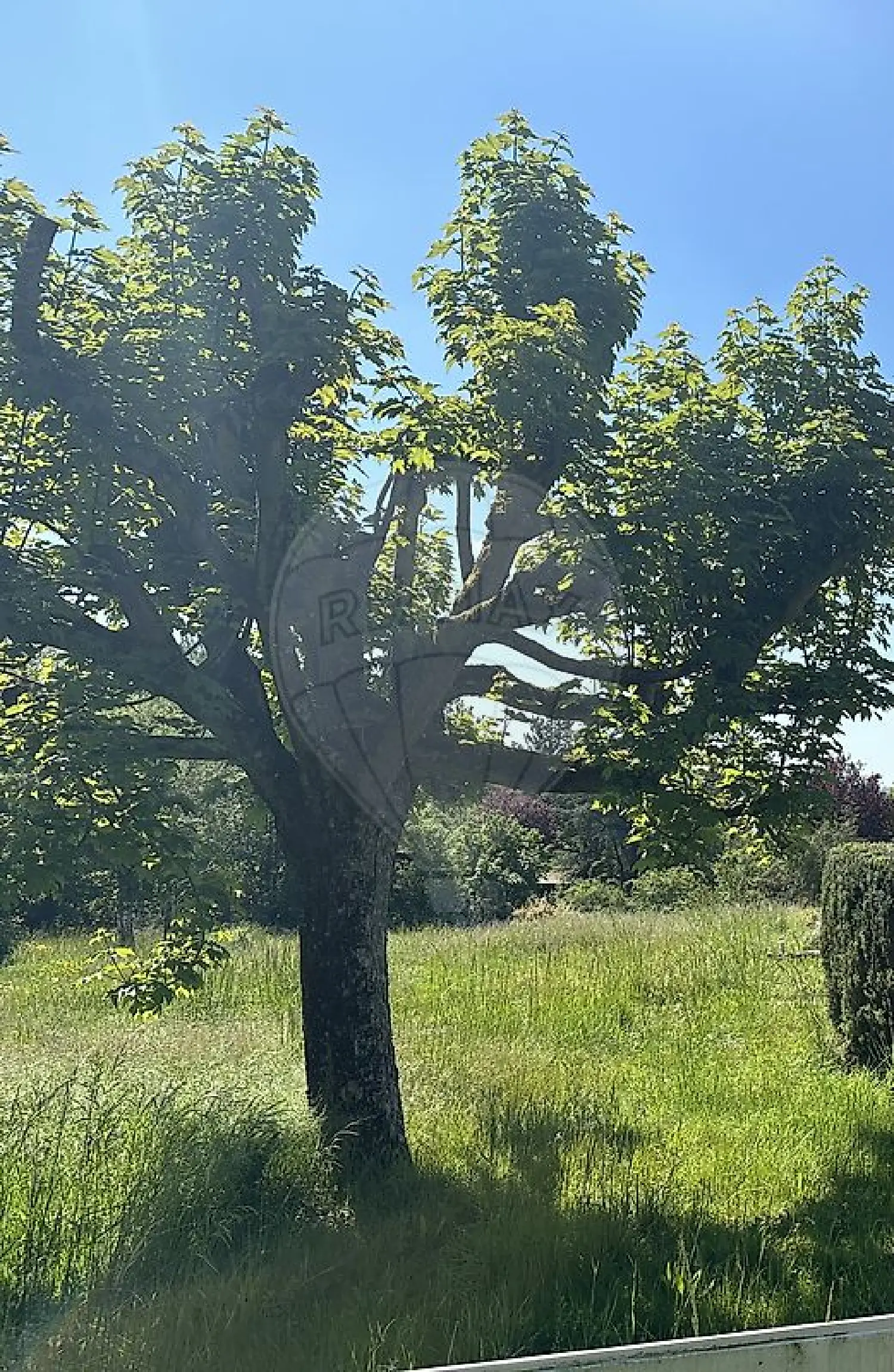  te koop terrein Knutange Moselle 2