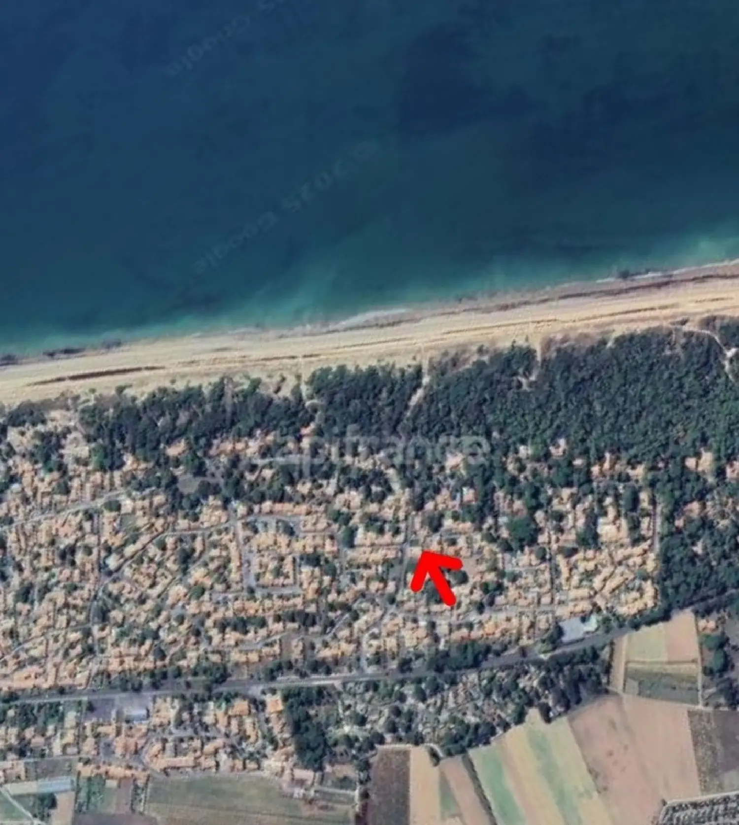  for sale terrain La Couarde-sur-Mer Charente-Maritime 1