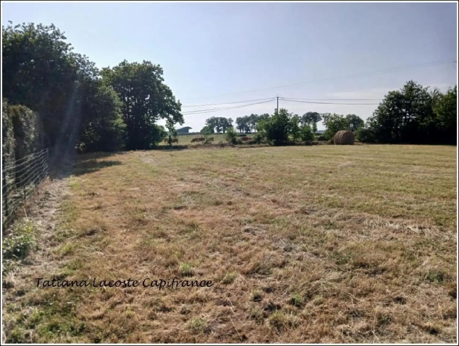  à vendre terrain La Dominelais Ille-et-Vilaine 3