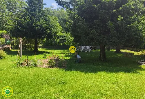 La Guerche-sur-l'Aubois Cher terreno foto