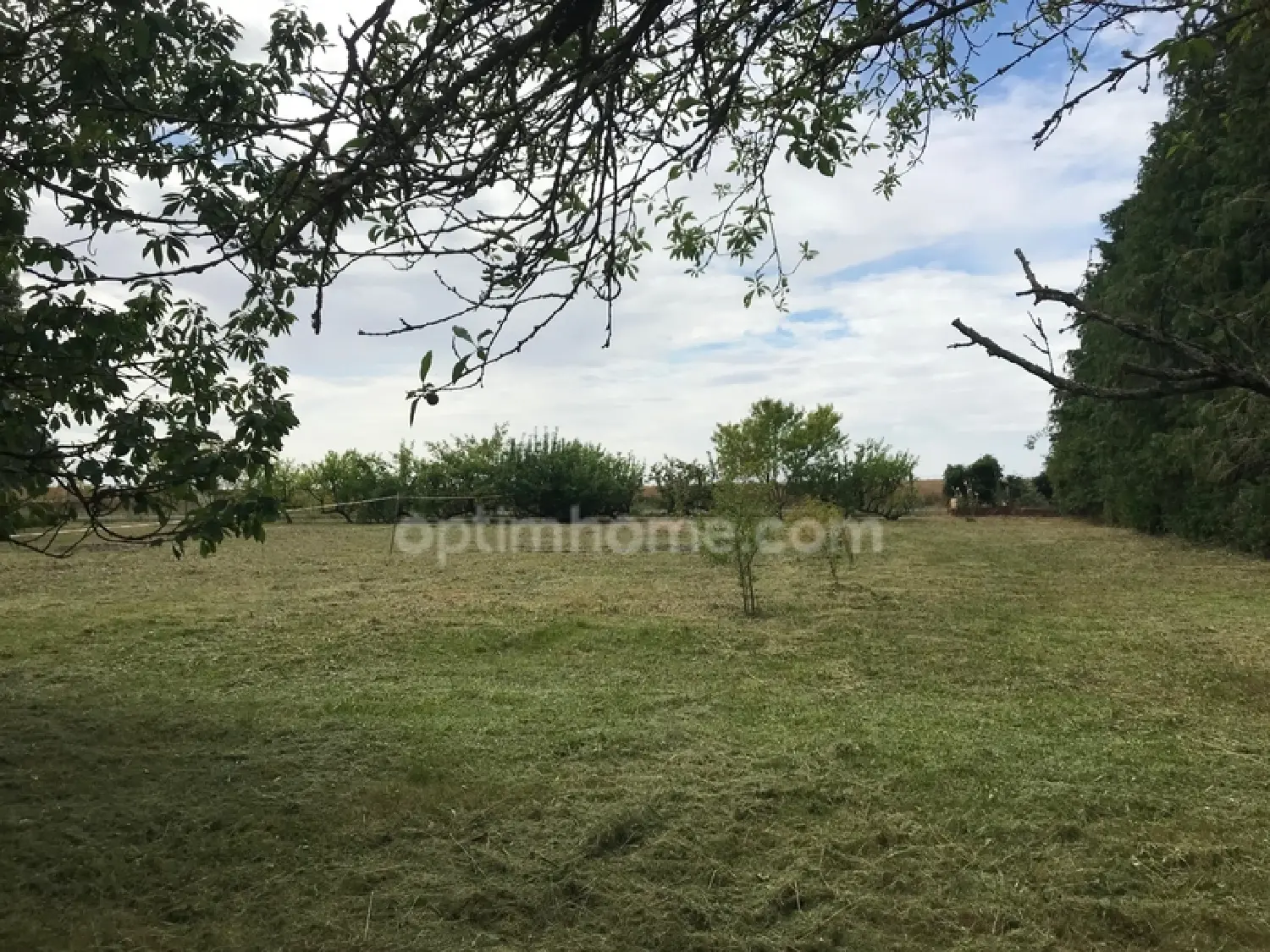  te koop terrein Laas Loiret 4