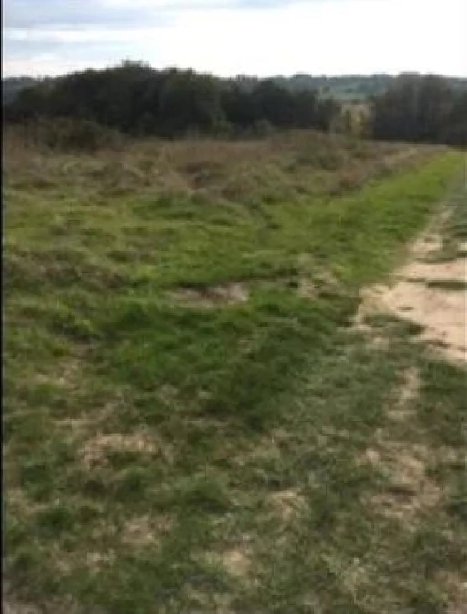  en venta terreno Labarthète Gers 2