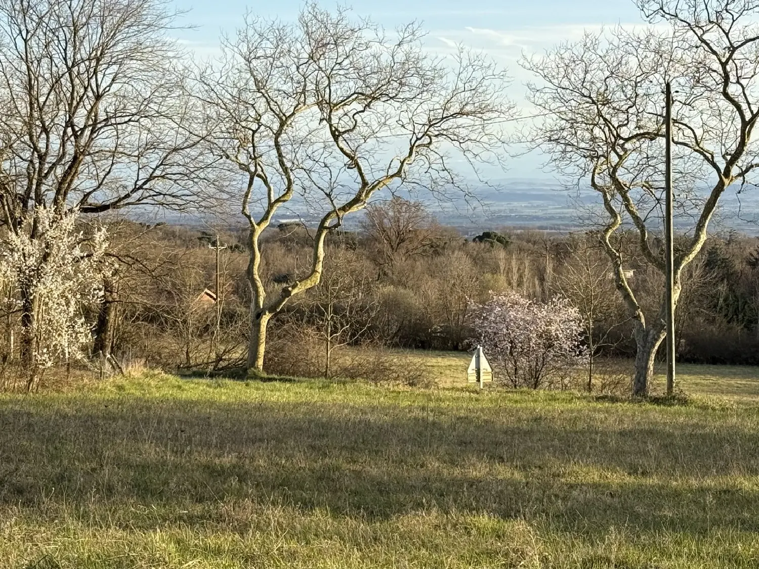  en venta terreno Labécède-Lauragais Aude 6