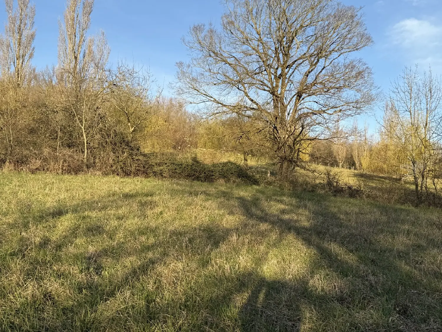  en venta terreno Labécède-Lauragais Aude 7