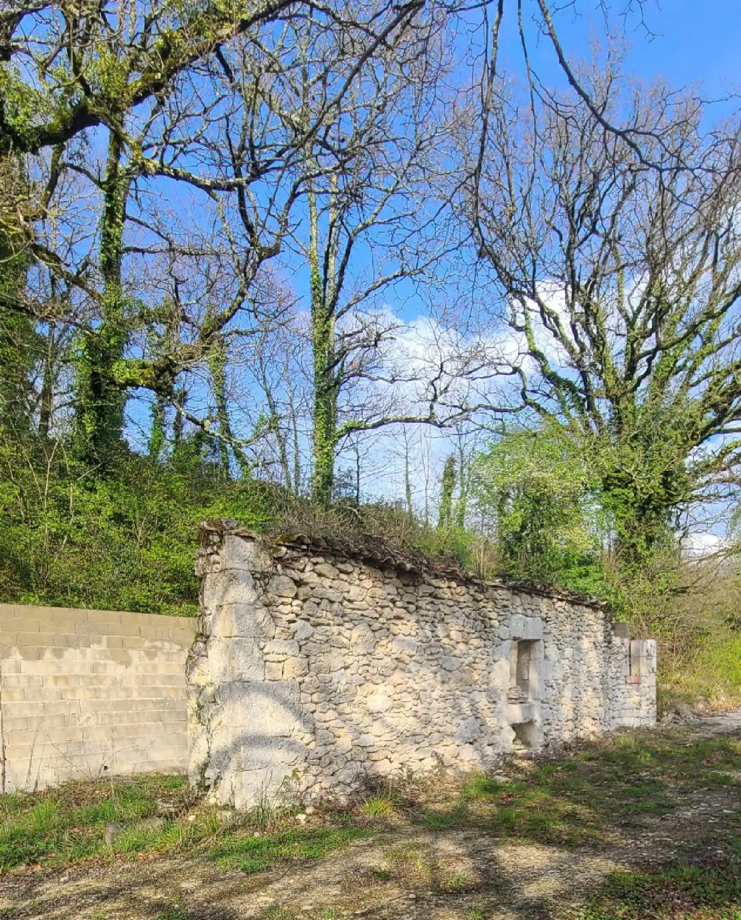  for sale terrain Lacour Tarn-et-Garonne 2