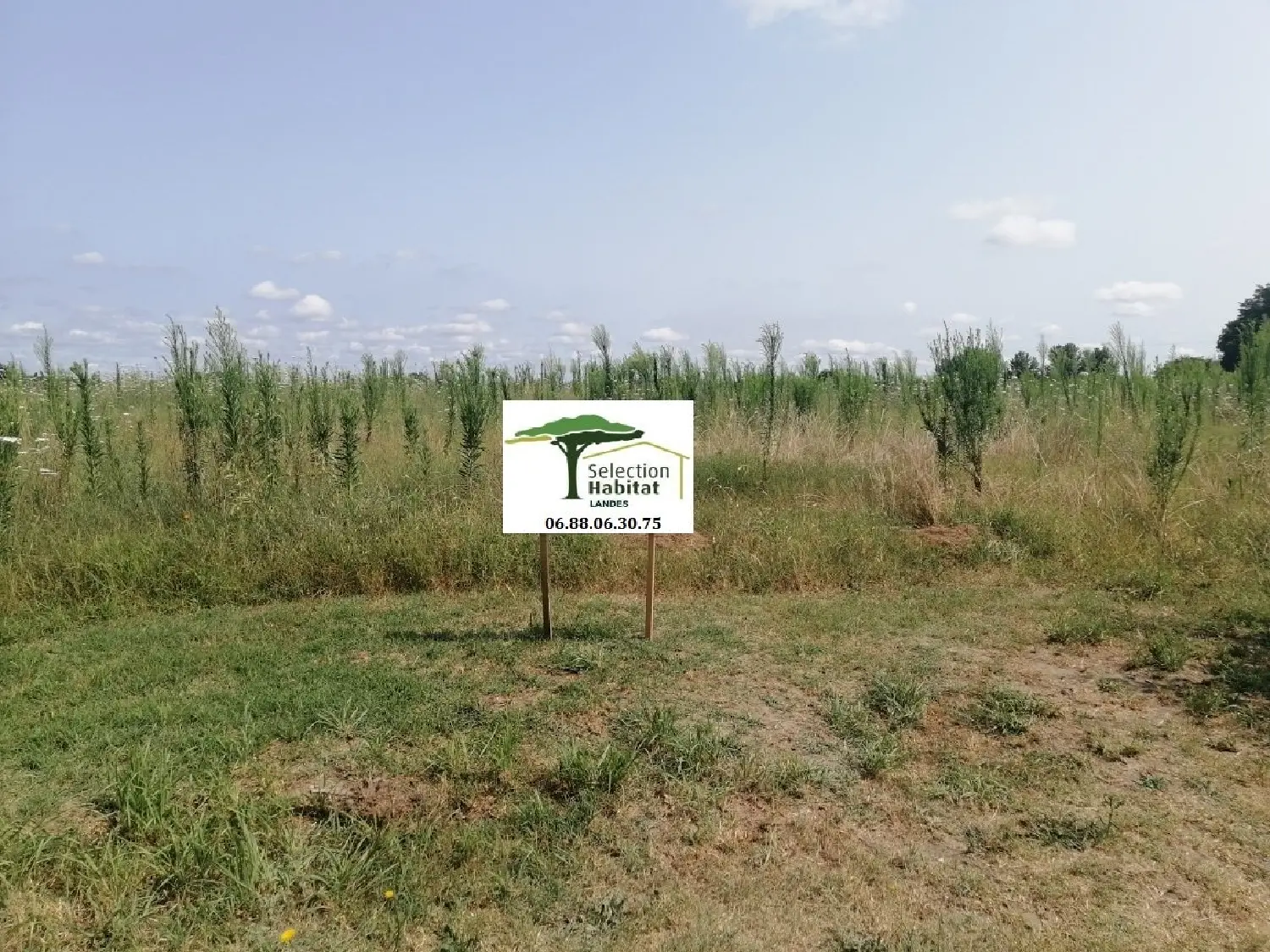 en venta terreno Laluque Landes 3