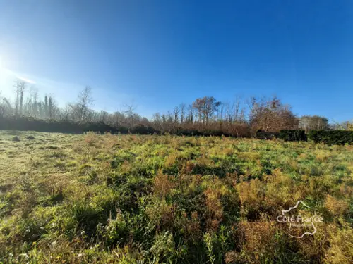 Landiras Gironde terrein foto