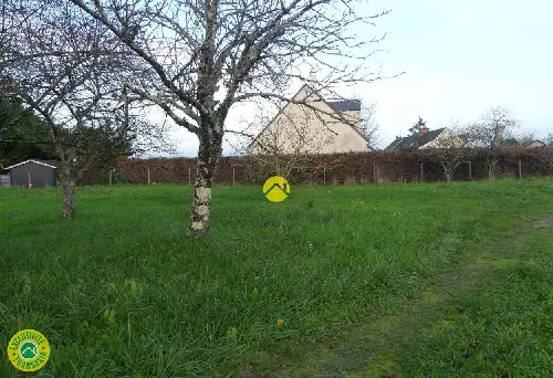 Langeais Indre-et-Loire terrain foto