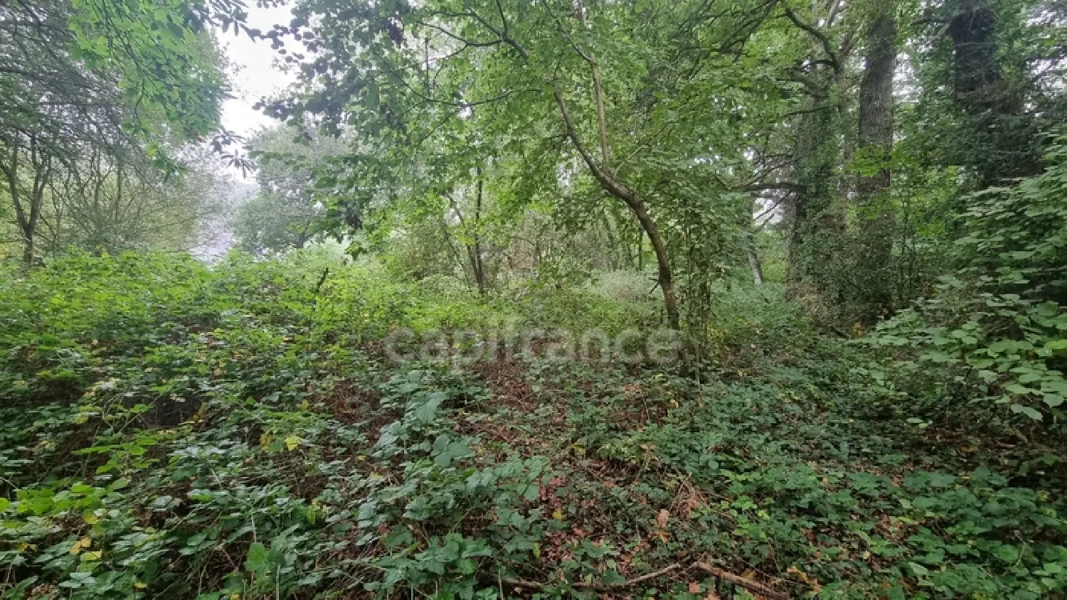  en venta terreno Lantic Côtes-d'Armor 2