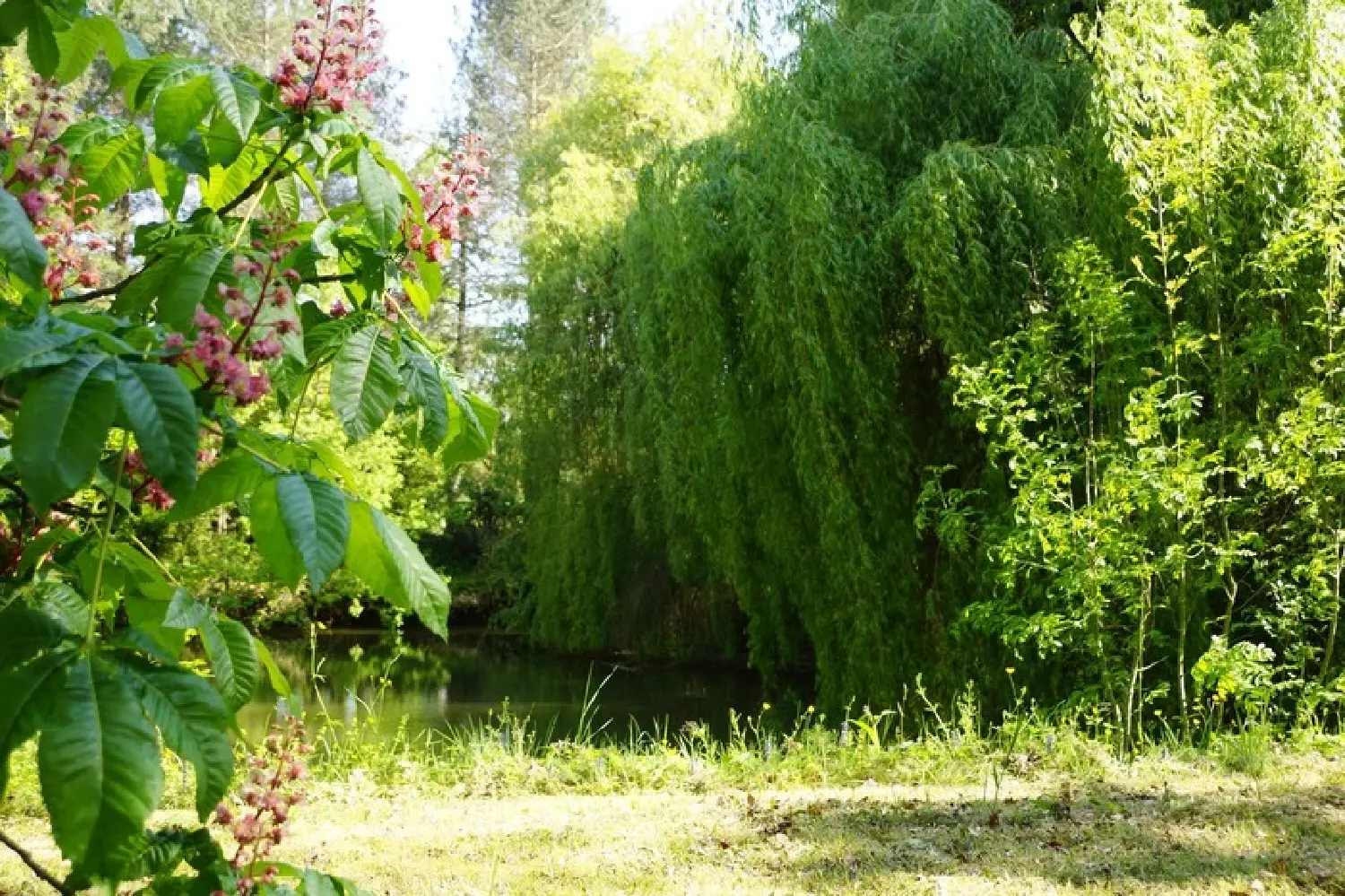  en venta terreno Lavaur Tarn 1