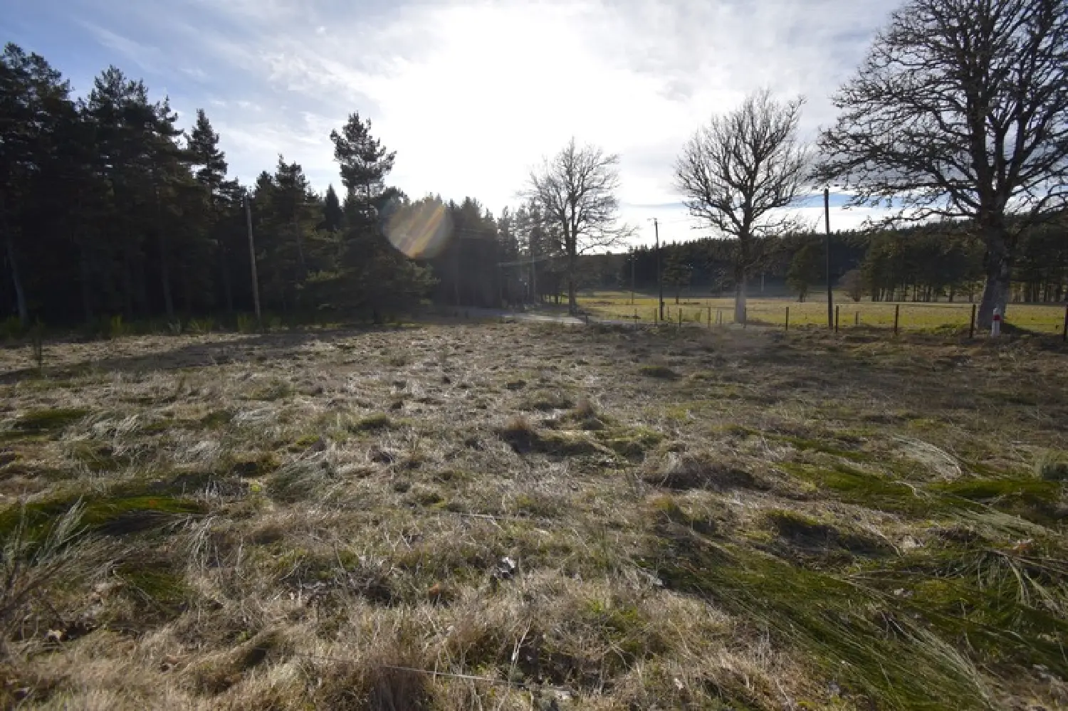  te koop terrein Le Chambon-sur-Lignon Haute-Loire 1