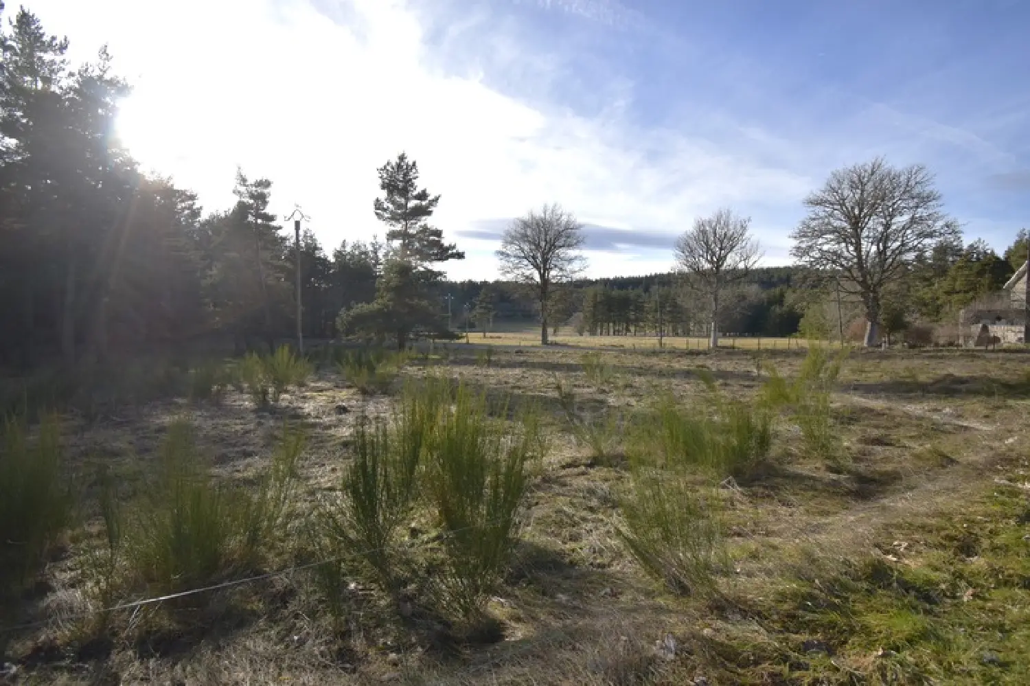  te koop terrein Le Chambon-sur-Lignon Haute-Loire 3