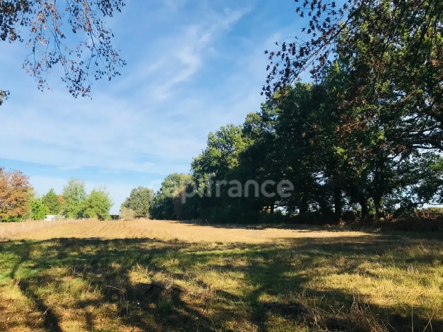  en venta terreno Le Chautay Cher 5
