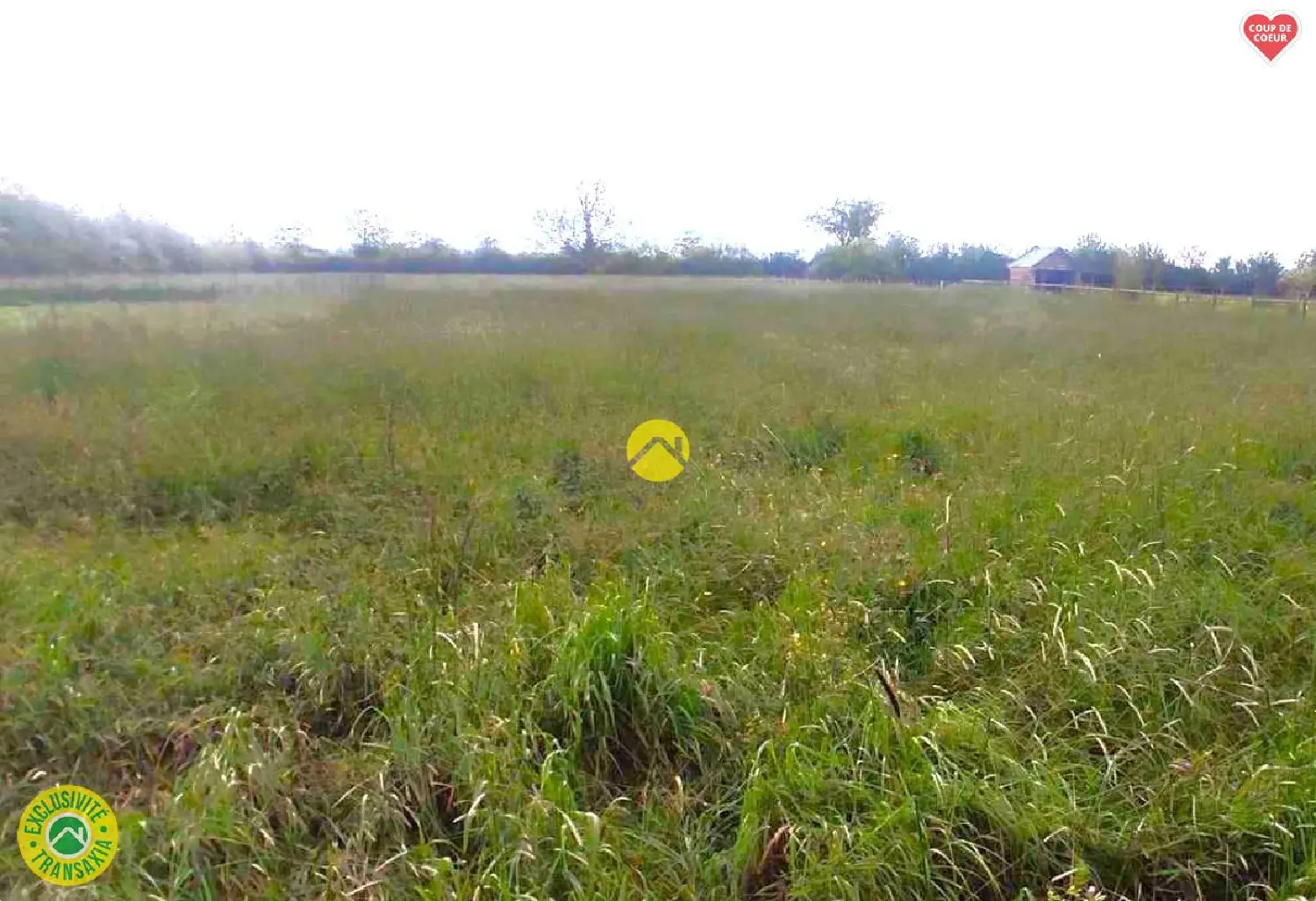  en venta terreno Le Montet Allier 3