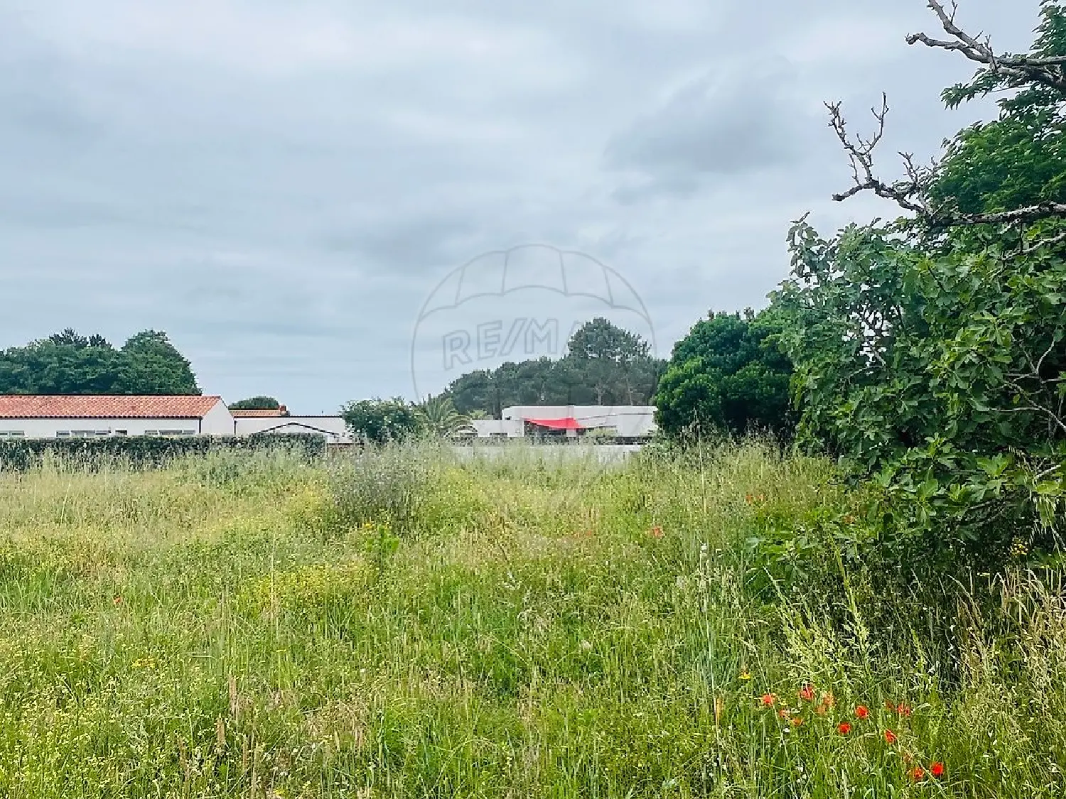  te koop terrein Les Mathes Charente-Maritime 1