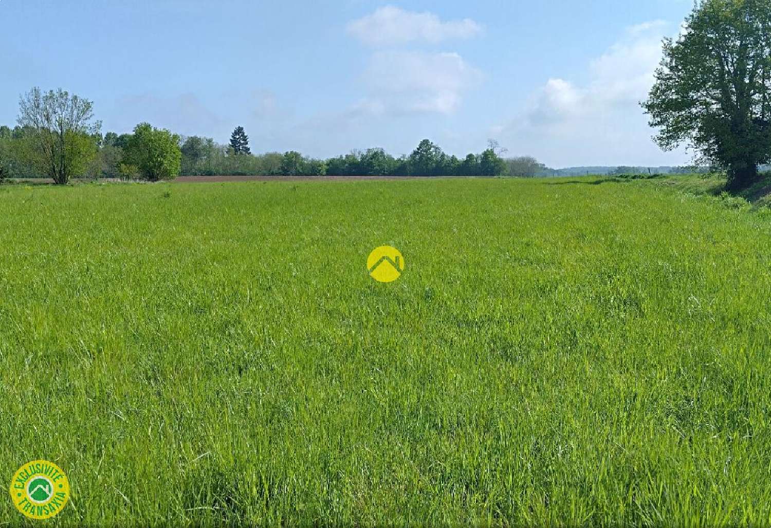  en venta terreno Levroux Indre 1