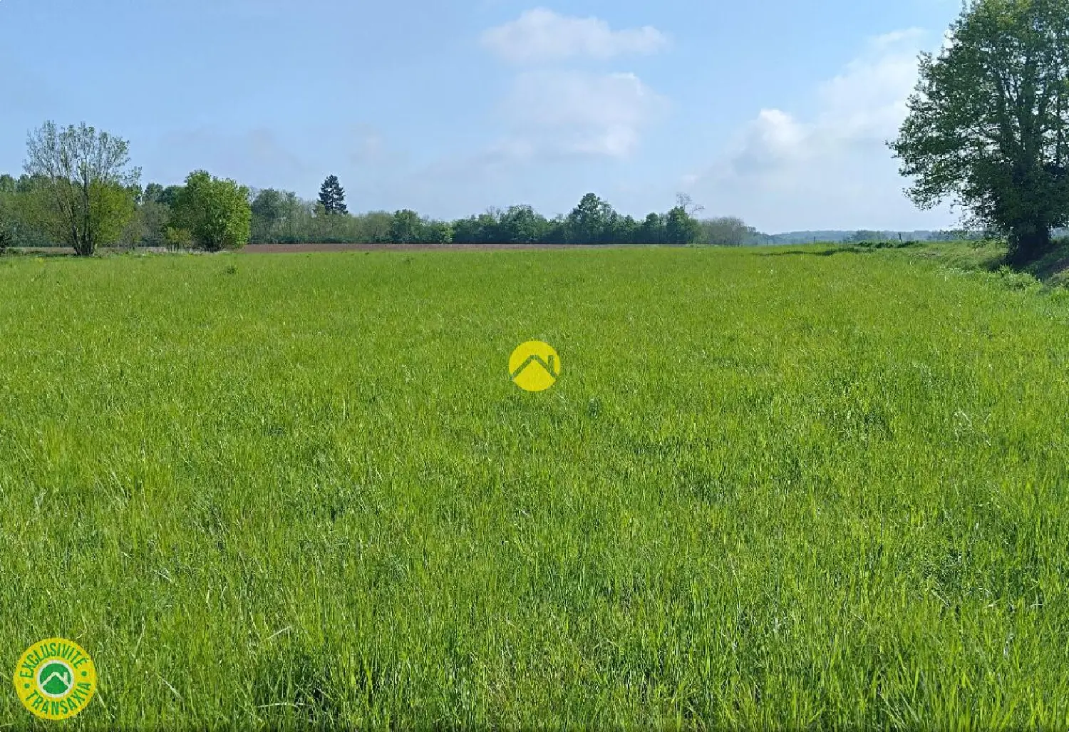  en venta terreno Levroux Indre 1