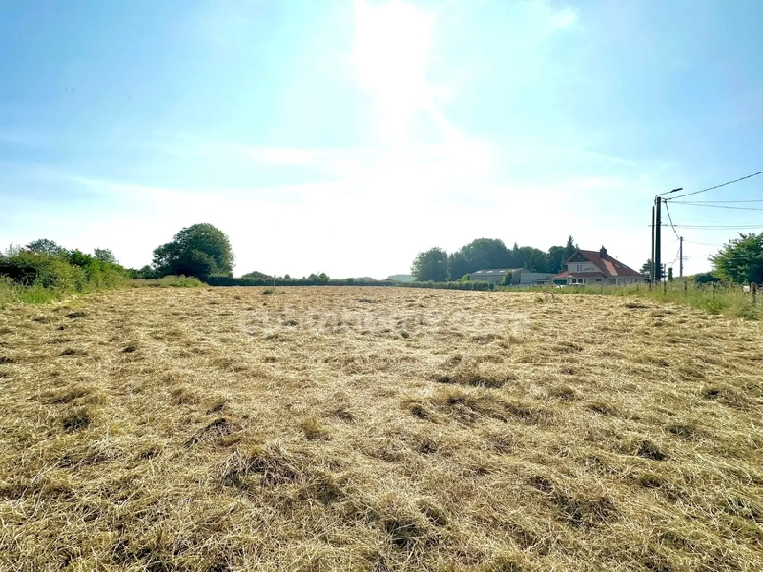  kaufen Grundstück Lisbourg Pas-de-Calais 2