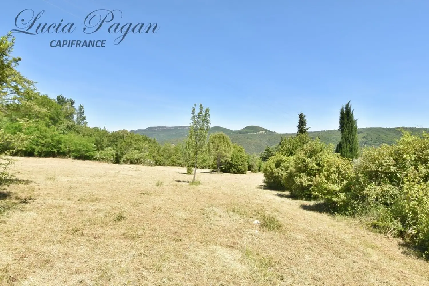  à vendre terrain Lodève Hérault 2