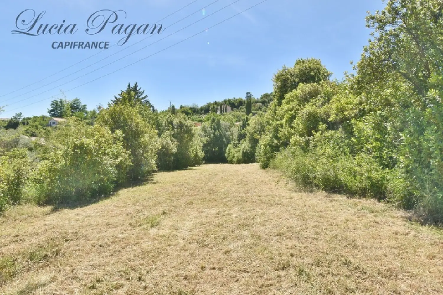  à vendre terrain Lodève Hérault 4