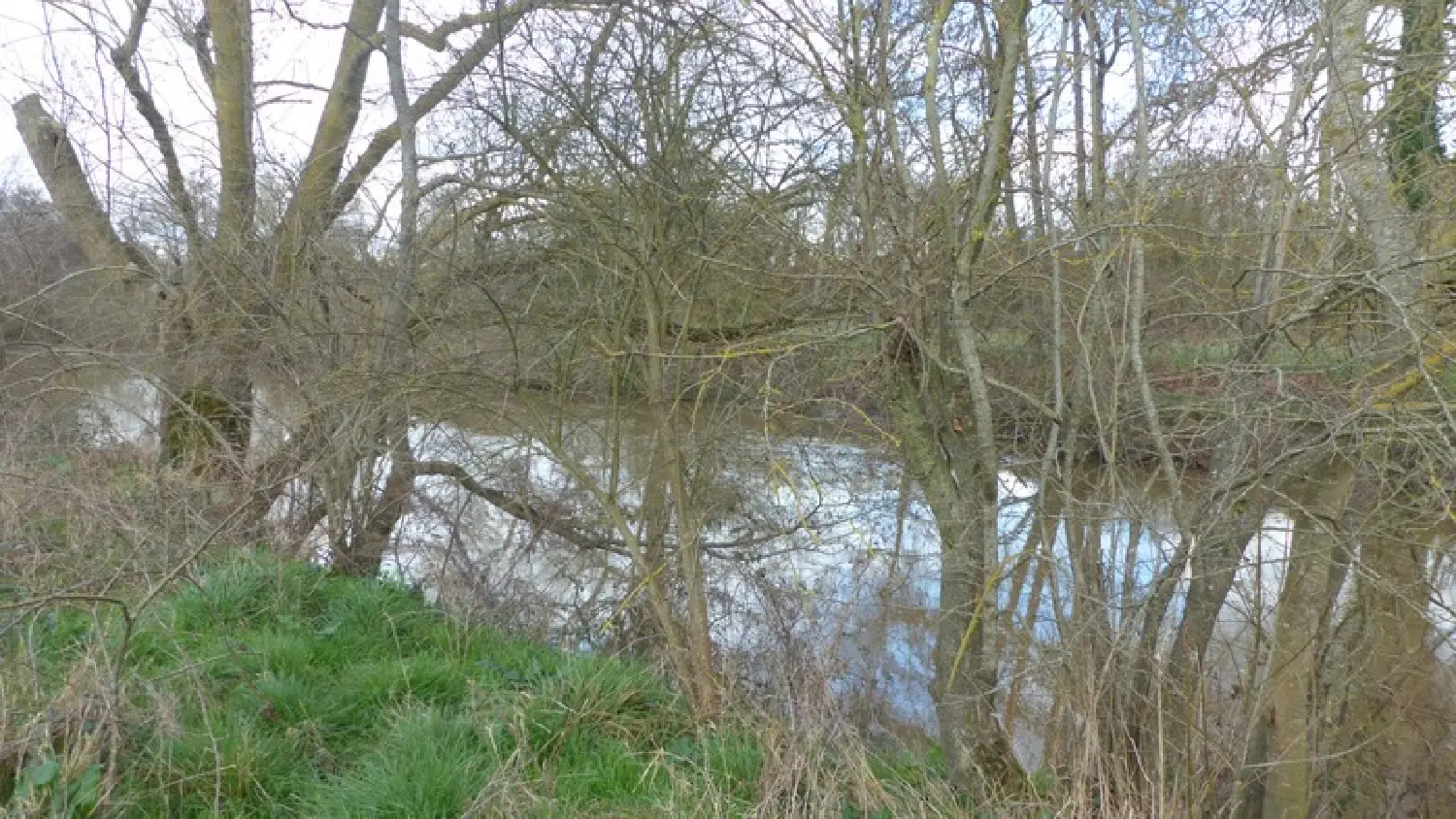  en venta terreno Louin Deux-Sèvres 4
