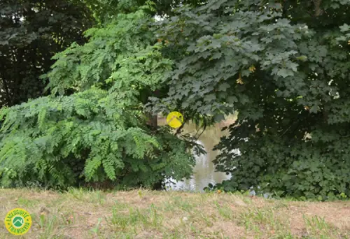 Lunery Cher terrein foto