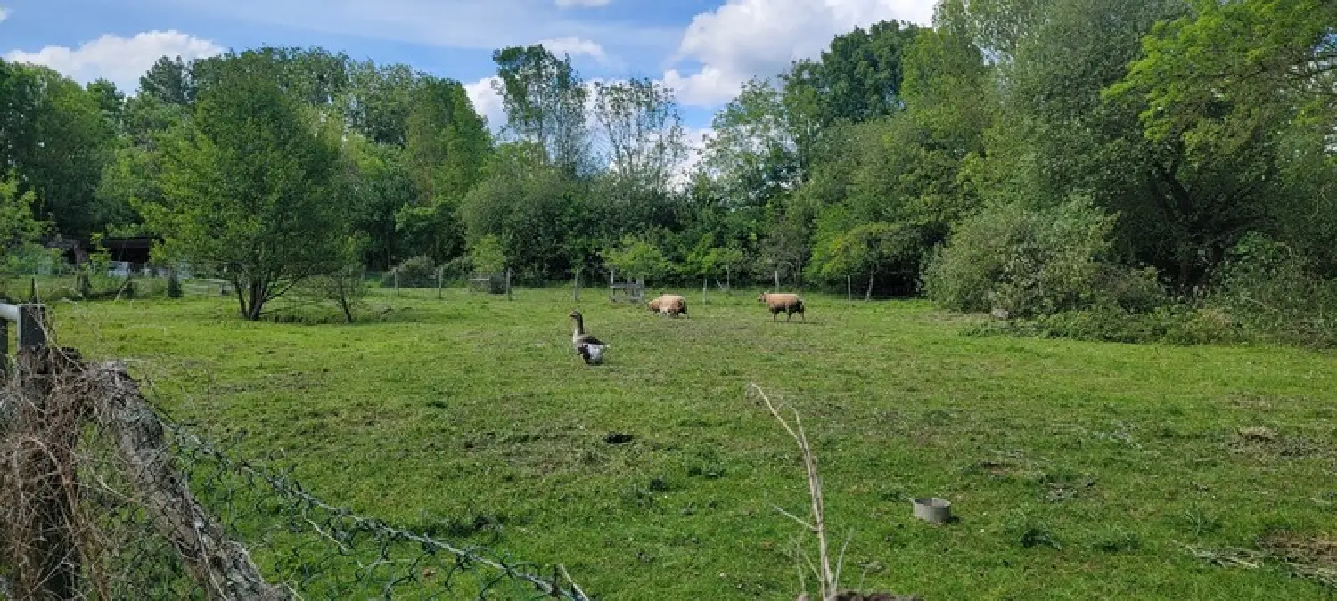  kaufen Grundstück Maigné Sarthe 4