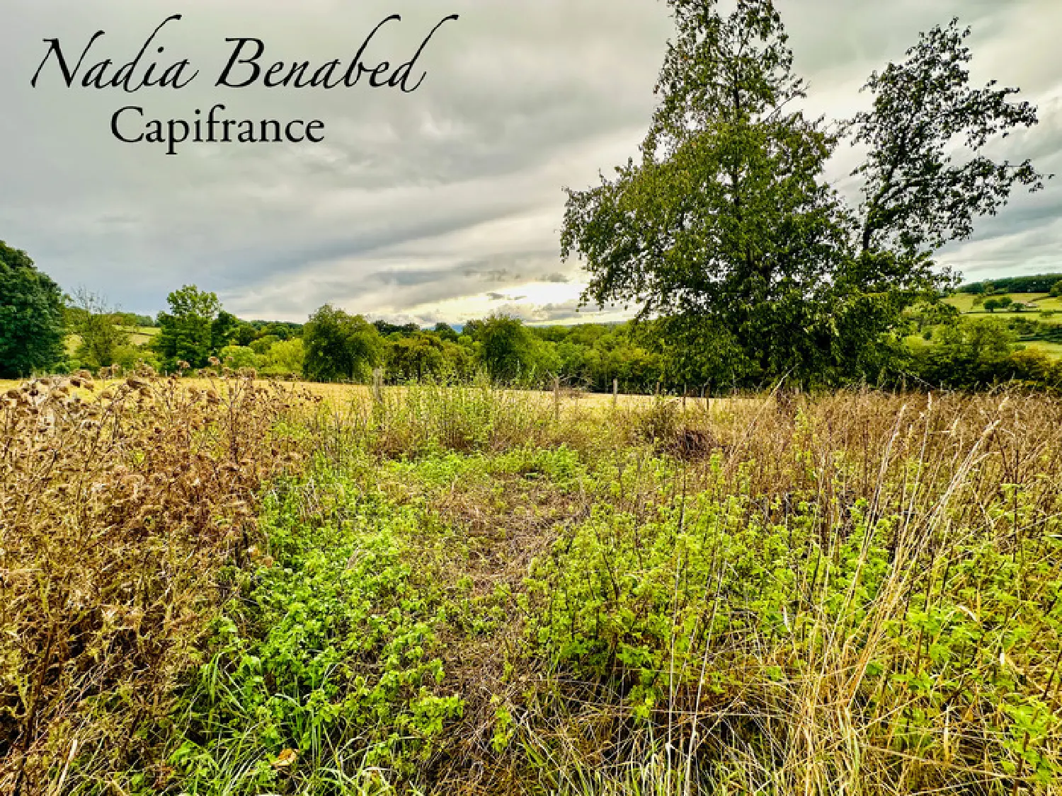  à vendre terrain Maizilly Loire 5