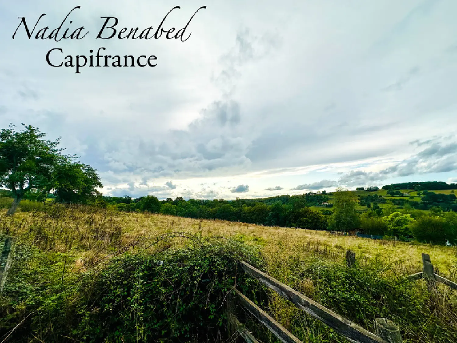  à vendre terrain Maizilly Loire 6