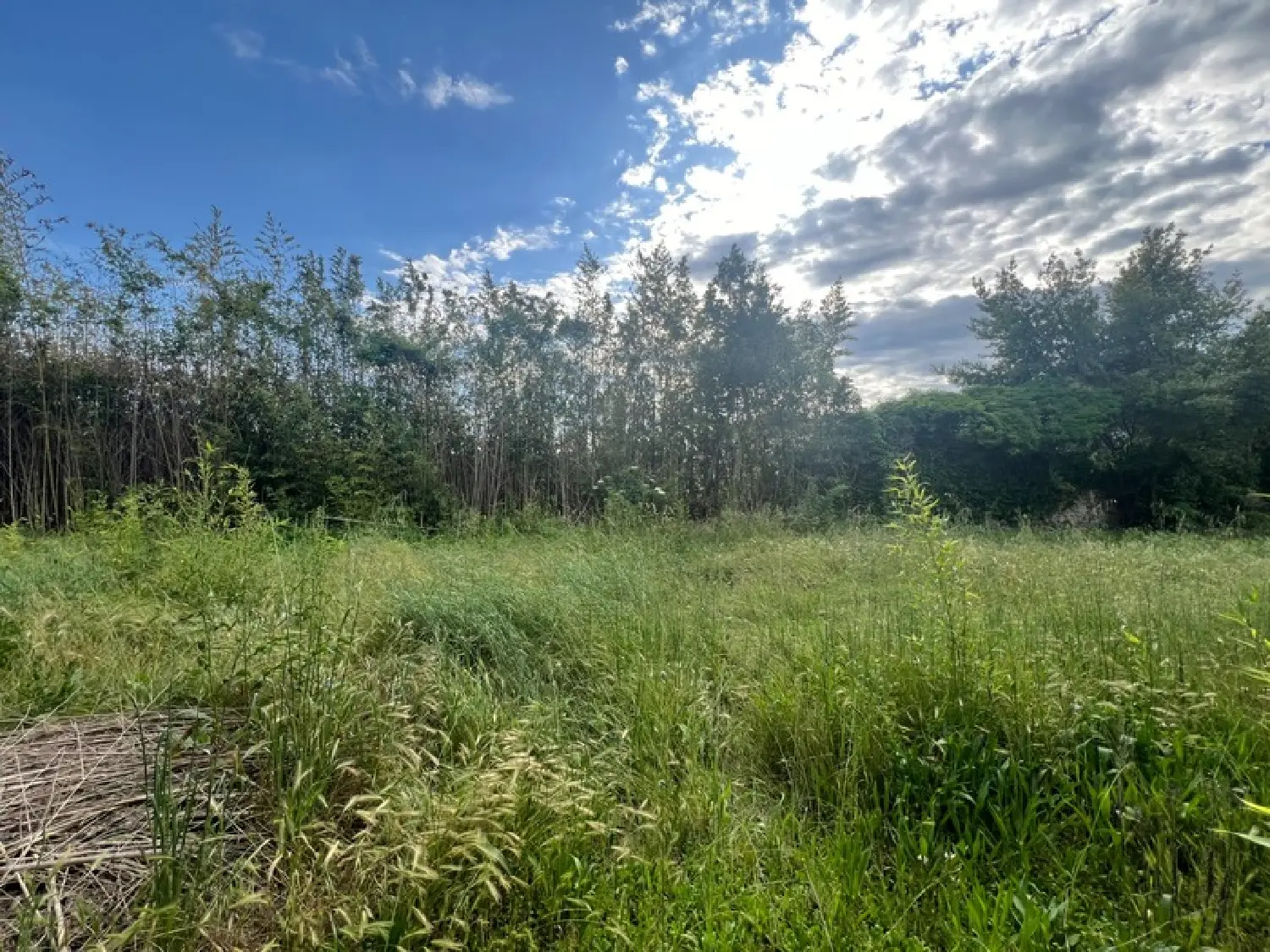  à vendre terrain Mallemort Bouches-du-Rhône 1