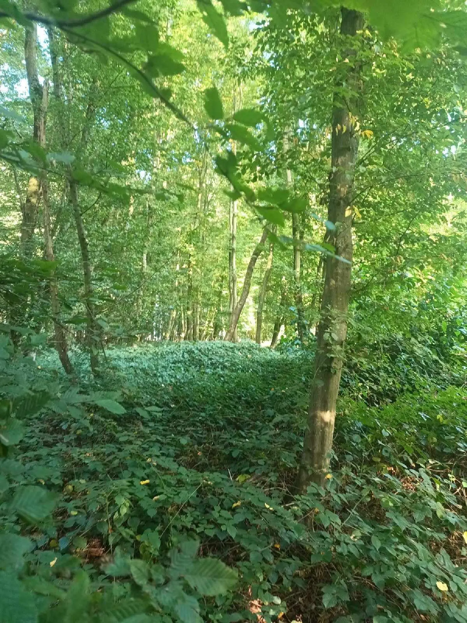  en venta terreno Marle Aisne 1