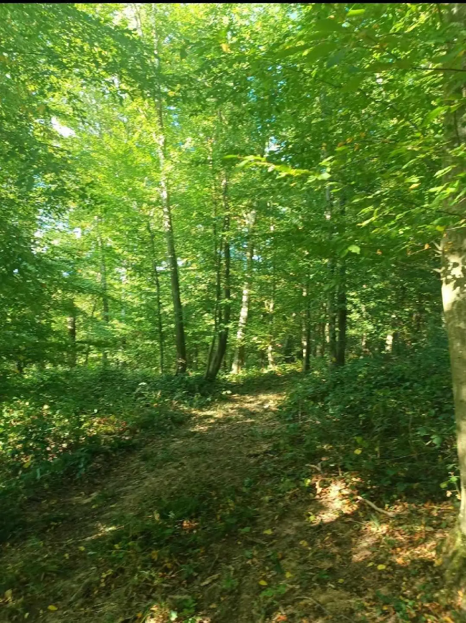  en venta terreno Marle Aisne 2