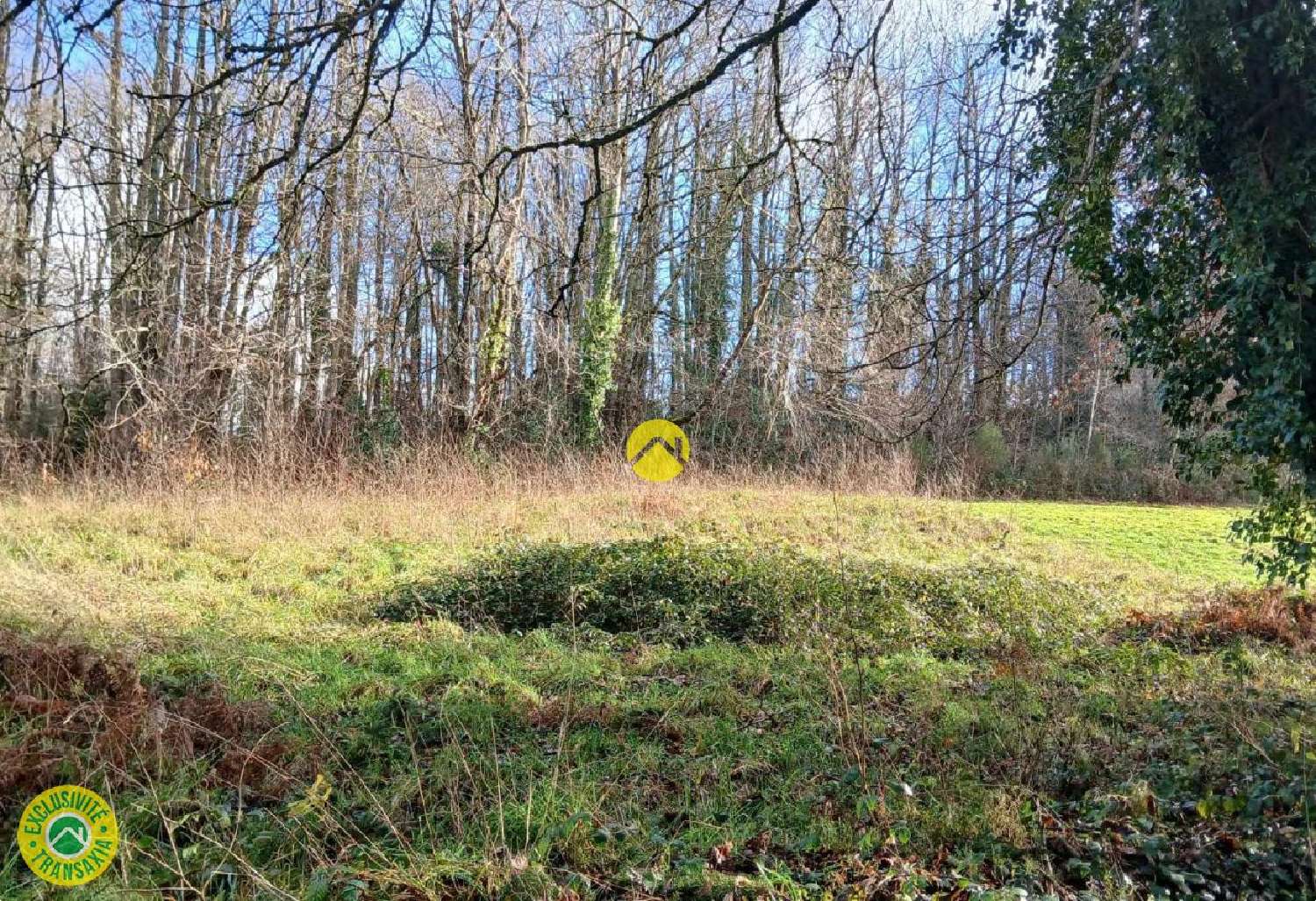  for sale terrain Marsac Creuse 1