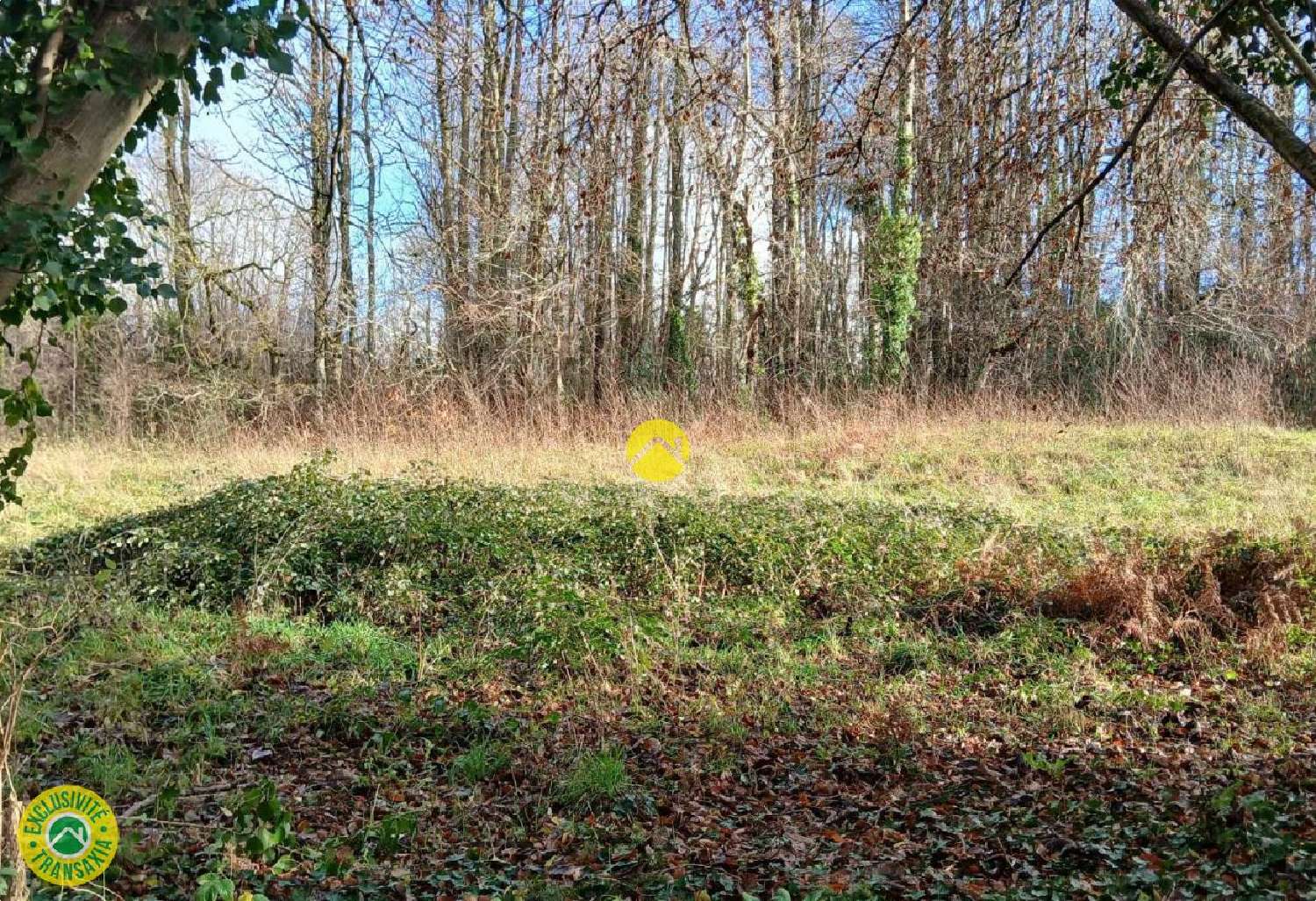  for sale terrain Marsac Creuse 4
