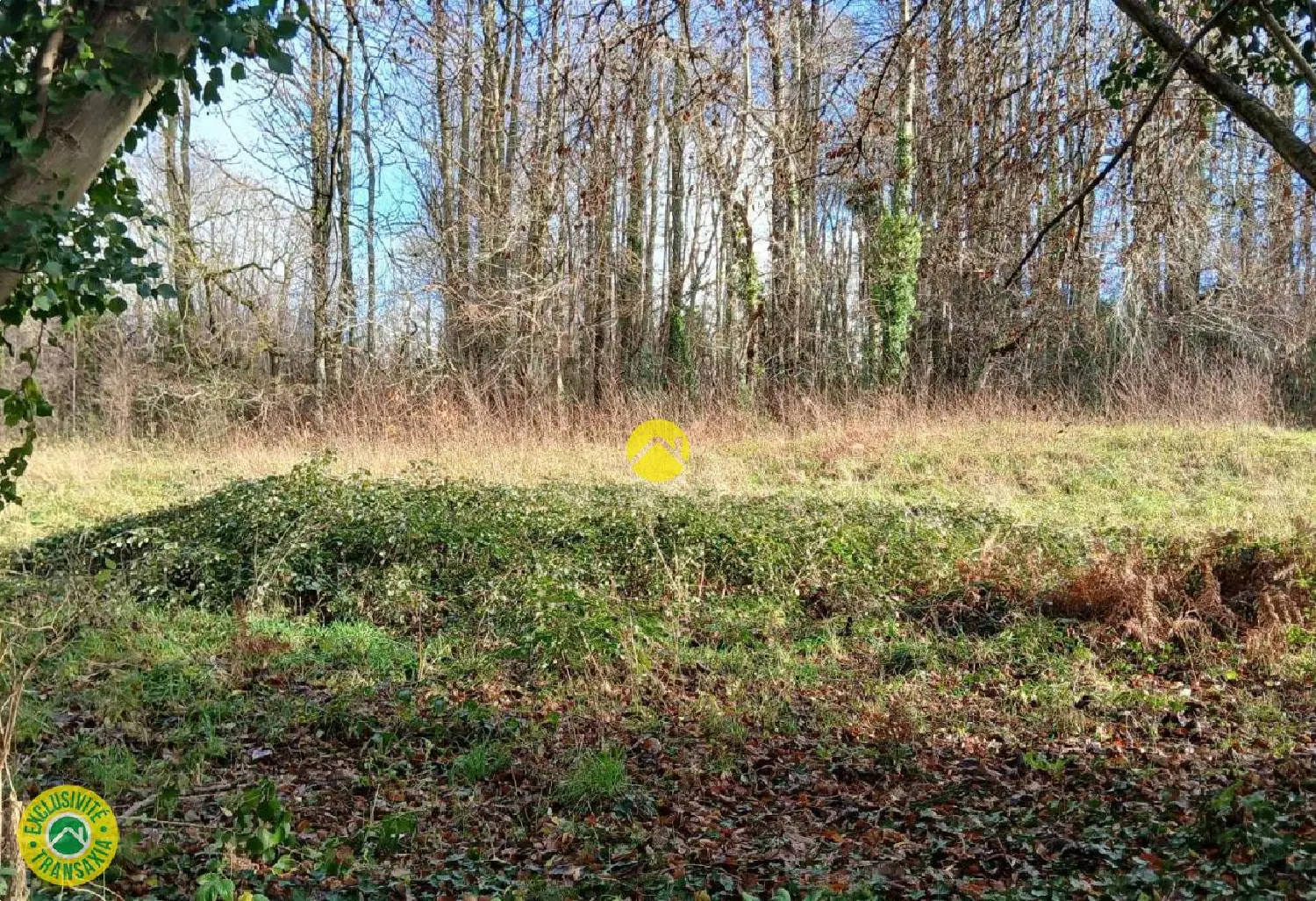  à vendre terrain Marsac Creuse 4