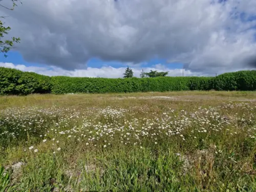 Marsais Charente-Maritime terreno foto 7089138