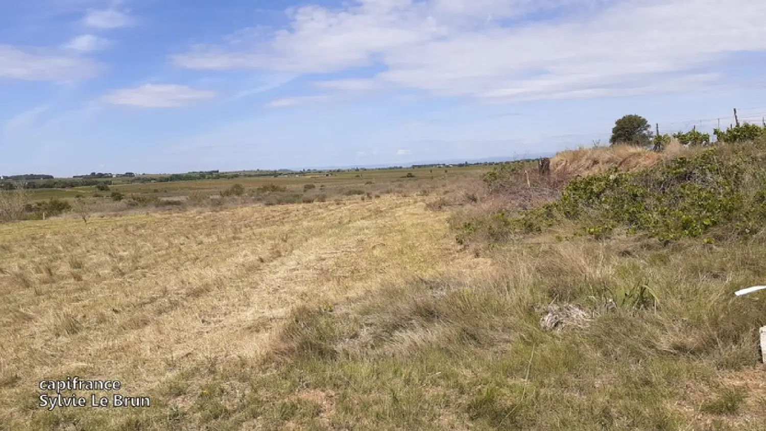  en venta terreno Marseillan Hérault 4